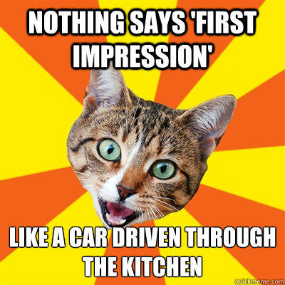 Nothing says 'first impression' like a car driven through the kitchen  Bad Advice Cat