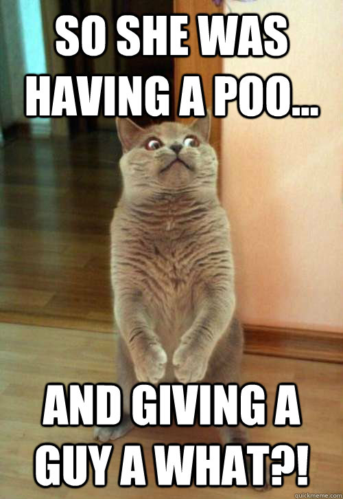 So she was having a poo... and giving a guy a what?!  Horrorcat