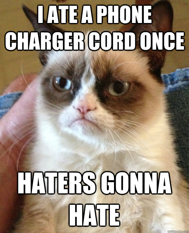 I ate a phone charger cord once Haters gonna hate  Grumpy Cat