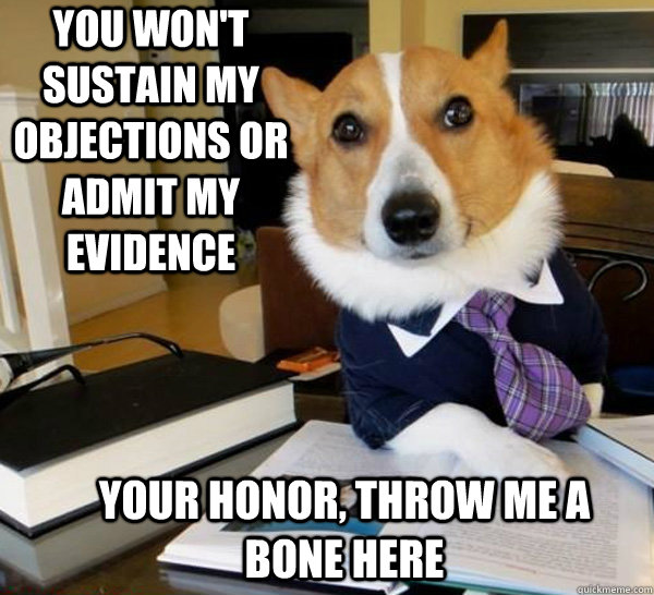 you won't sustain my objections or admit my evidence your honor, throw me a bone here  Lawyer Dog