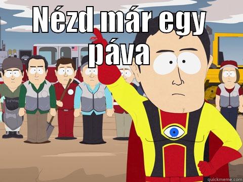 funny madafaka - NÉZD MÁR EGY PÁVA  Captain Hindsight