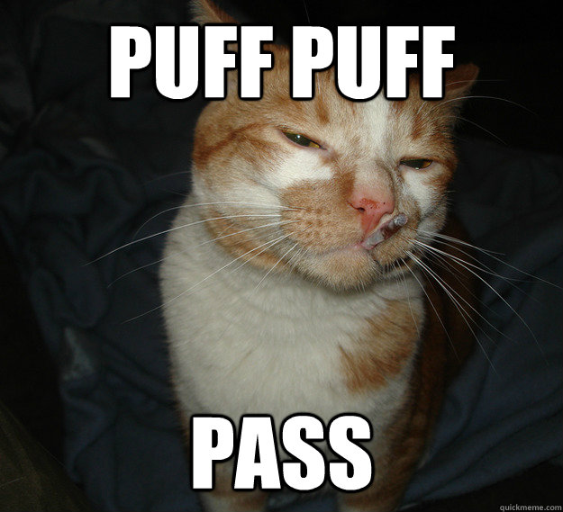 Puff puff pass - Puff puff pass  Cool Cat Craig
