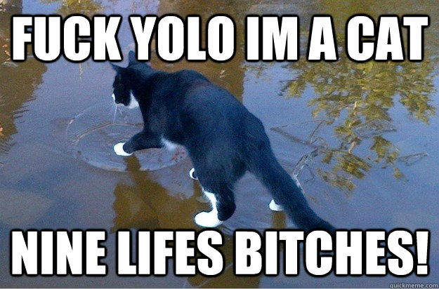 fuck yolo im a cat nine lifes bitches!  