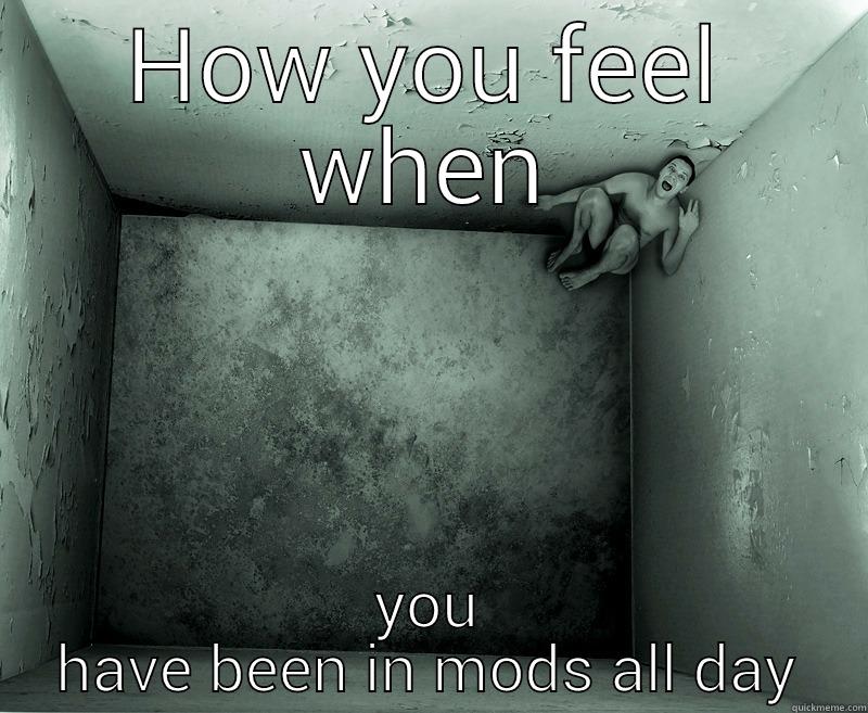 HOW YOU FEEL WHEN YOU HAVE BEEN IN MODS ALL DAY Misc