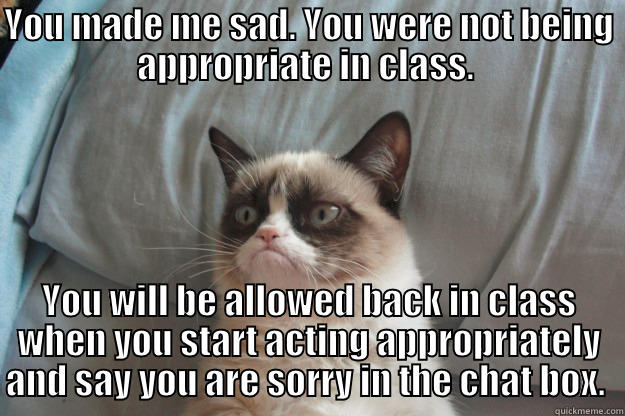 YOU MADE ME SAD. YOU WERE NOT BEING APPROPRIATE IN CLASS.  YOU WILL BE ALLOWED BACK IN CLASS WHEN YOU START ACTING APPROPRIATELY AND SAY YOU ARE SORRY IN THE CHAT BOX.  Grumpy Cat