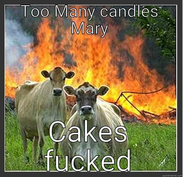 TOO MANY CANDLES MARY CAKES FUCKED Evil cows