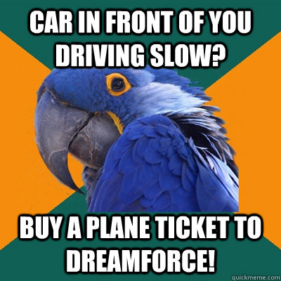 car in front of you driving slow? buy a plane ticket to DREAMFORCE!  Paranoid Parrot