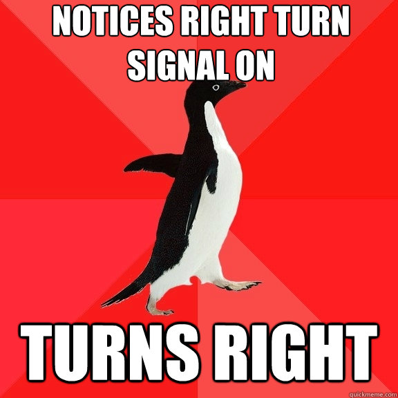 Notices Right Turn Signal on Turns Right - Notices Right Turn Signal on Turns Right  Socially Awesome Penguin