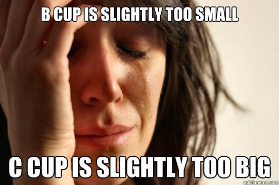 B cup is slightly too small c cup is slightly too big  First World Problems