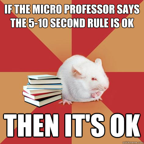 if the micro professor says the 5-10 second rule is OK then it's OK  Science Major Mouse