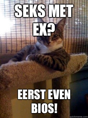 Seks met ex? Eerst even bios!  The Most Interesting Cat in the World