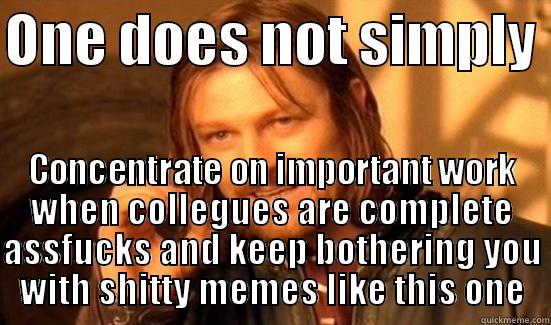 ONE DOES NOT SIMPLY  CONCENTRATE ON IMPORTANT WORK WHEN COLLEGUES ARE COMPLETE ASSFUCKS AND KEEP BOTHERING YOU WITH SHITTY MEMES LIKE THIS ONE Boromir