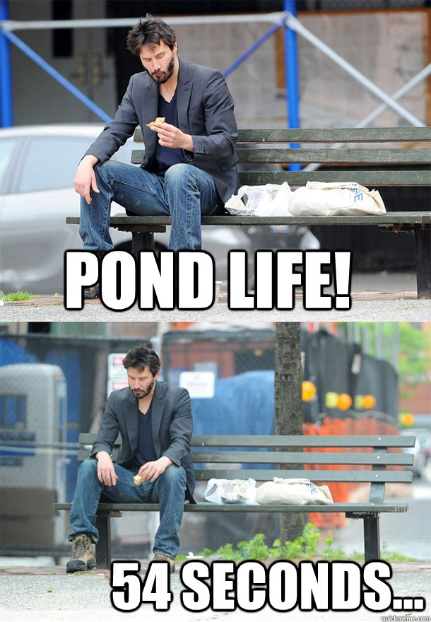 Pond Life! 54 seconds... - Pond Life! 54 seconds...  Sad Keanu