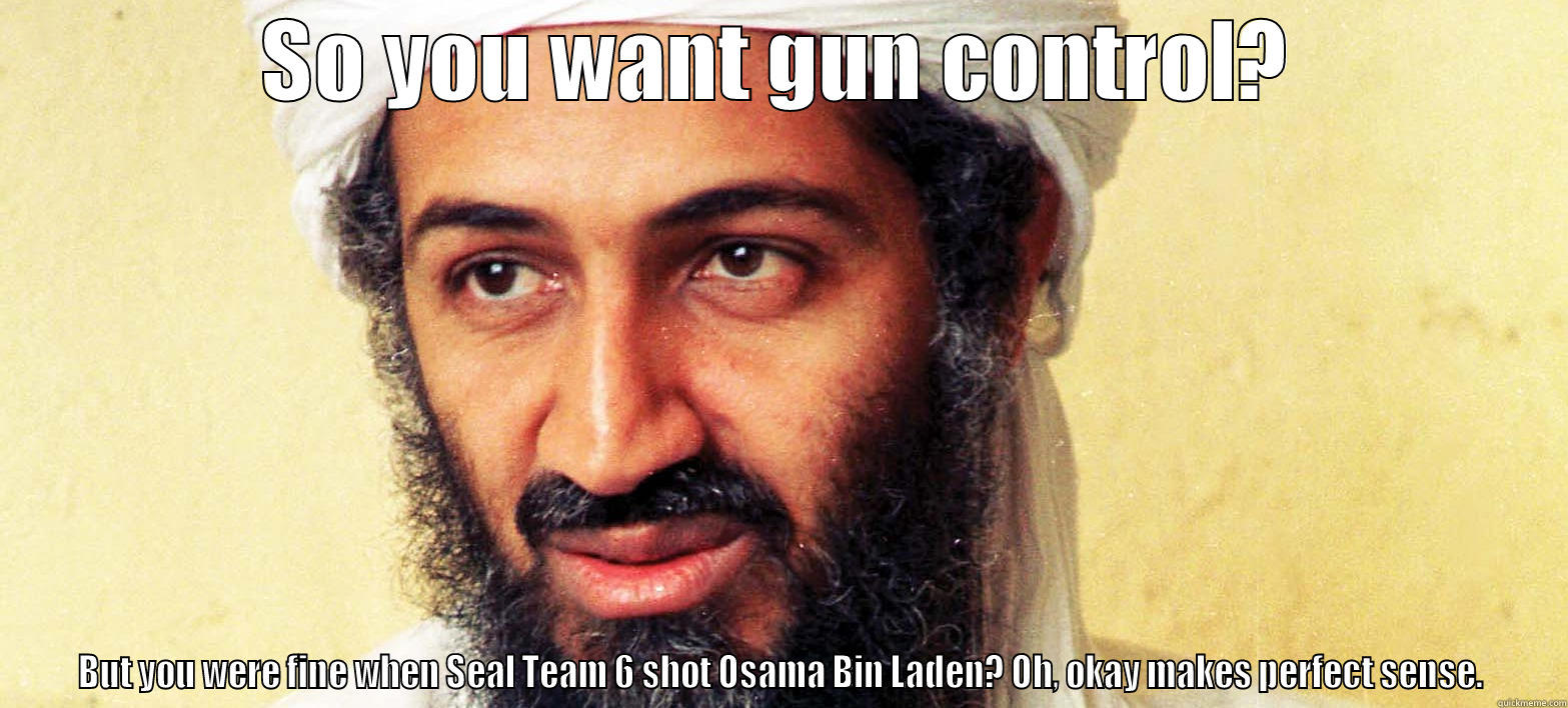 Gun Control for Dummies - SO YOU WANT GUN CONTROL? BUT YOU WERE FINE WHEN SEAL TEAM 6 SHOT OSAMA BIN LADEN? OH, OKAY MAKES PERFECT SENSE. Misc