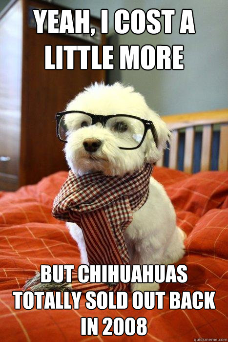 Yeah, I cost a little more But chihuahuas totally sold out back in 2008  Hipster Dog