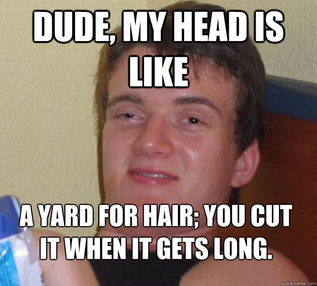 Dude, my head is like a yard for hair; you cut it when it gets long.
  10 Guy