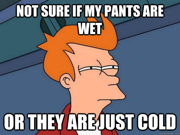 not sure if my pants are wet  or they are just cold  Futurama Fry