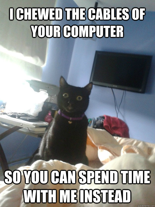 I chewed the cables of your computer So you can spend time with me instead  overly attached cat