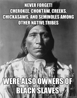 Never Forget!
Cherokee, choktaw, creeks, Chickasaws, and Seminoles among other native tribes were also owners of black slaves  Vengeful Native American