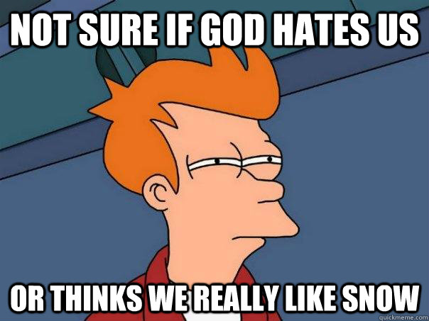 Not sure if God hates us Or thinks we really like snow  Futurama Fry