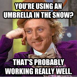 You're using an umbrella in the snow? That's probably working really well. - You're using an umbrella in the snow? That's probably working really well.  Condescending Wonka