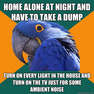 home alone at night and have to take a dump turn on every light in the house and turn on the TV just for some ambient noise - home alone at night and have to take a dump turn on every light in the house and turn on the TV just for some ambient noise  Paranoid Parrot