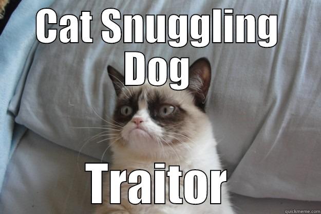 CAT SNUGGLING DOG TRAITOR Grumpy Cat