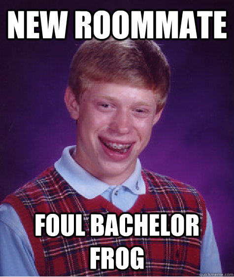 new roommate foul bachelor frog  Bad Luck Brian