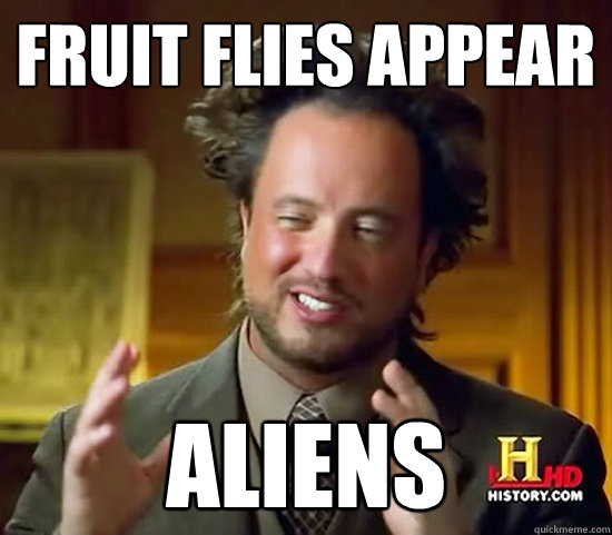 Fruit flies appear aliens  Ancient Aliens