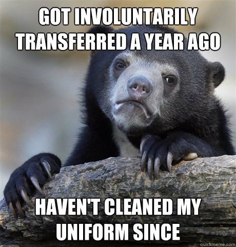 Got involuntarily transferred a year ago  haven't cleaned my uniform since  Confession Bear