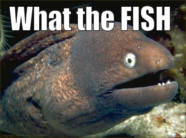 WHAT THE FISH  Bad Joke Eel