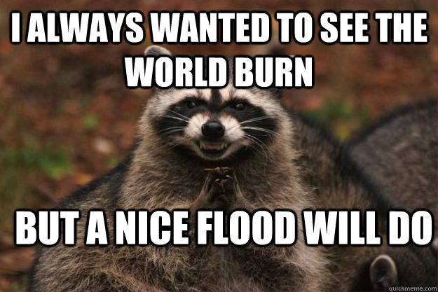 I always wanted to see the world burn But a nice flood will do - I always wanted to see the world burn But a nice flood will do  Evil Plotting Raccoon