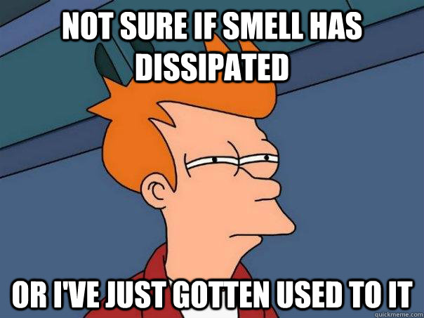 Not sure if smell has dissipated or i've just gotten used to it  Futurama Fry