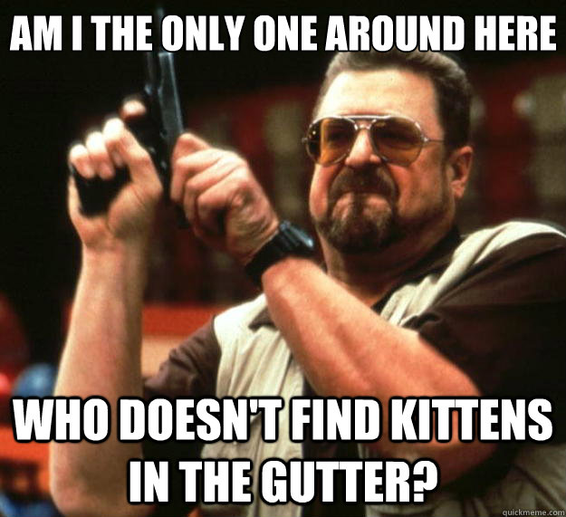 Am I the only one around here Who doesn't find kittens in the gutter?  Big Lebowski