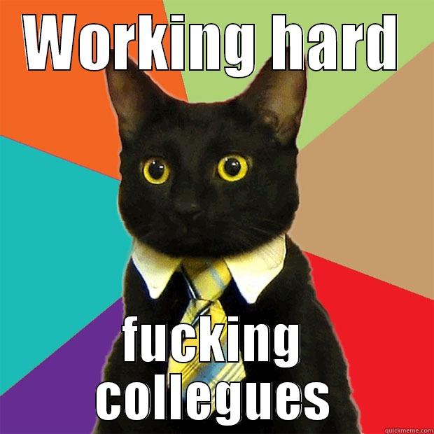 WORKING HARD FUCKING COLLEGUES Business Cat