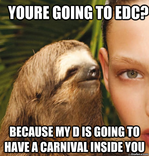 Youre going to EDC? Because My D is going to have a carnival inside you  rape sloth