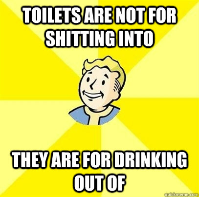 toilets are not for shitting into they are for drinking out of - toilets are not for shitting into they are for drinking out of  Fallout 3