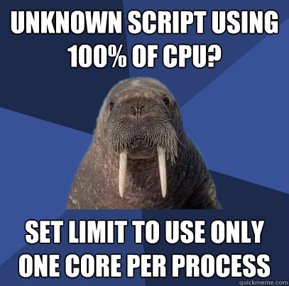 unknown script using 100% of cpu? set limit to use only one core per process  Web Developer Walrus