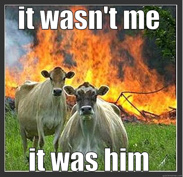 IT WASN'T ME IT WAS HIM Evil cows