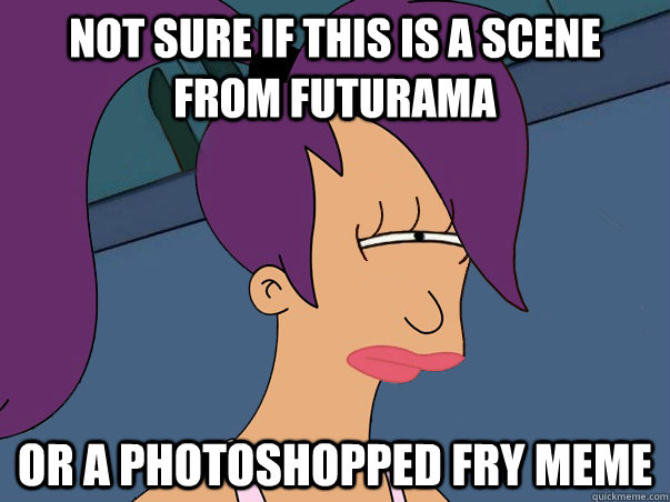 Not sure if this is a scene from futurama or a photoshopped fry meme - Not sure if this is a scene from futurama or a photoshopped fry meme  Leela Futurama