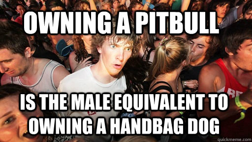 owning a pitbull is the male equivalent to owning a handbag dog  Sudden Clarity Clarence