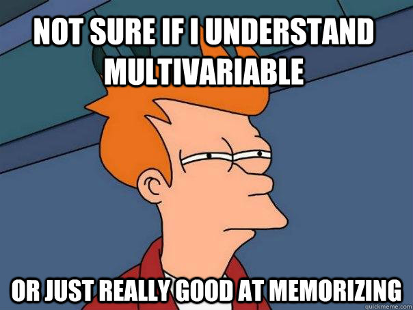 Not sure if i understand multivariable  Or just really good at memorizing   Futurama Fry