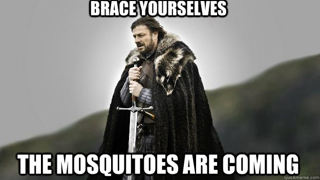 Brace yourselves The mosquitoes are coming  Ned stark winter is coming