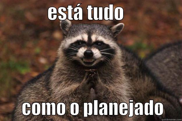              ESTÁ TUDO                        COMO O PLANEJADO     Evil Plotting Raccoon