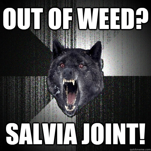 Out of weed? Salvia joint!  Insanity Wolf