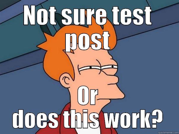 Test post it - NOT SURE TEST POST OR DOES THIS WORK? Futurama Fry