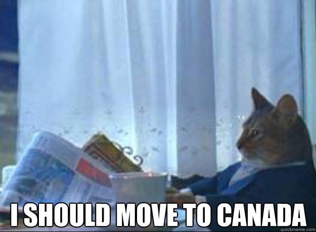 i should move to canada   I should buy a boat cat