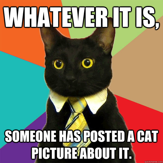 Whatever it is, someone has posted a cat  picture about it.  Business Cat