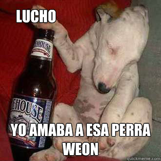 lucho yo amaba a esa perra weon  