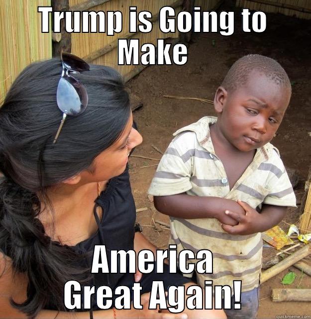 TRUMP IS GOING TO MAKE AMERICA GREAT AGAIN! Skeptical Third World Kid